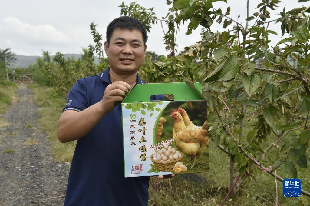 巴黎人注册账号